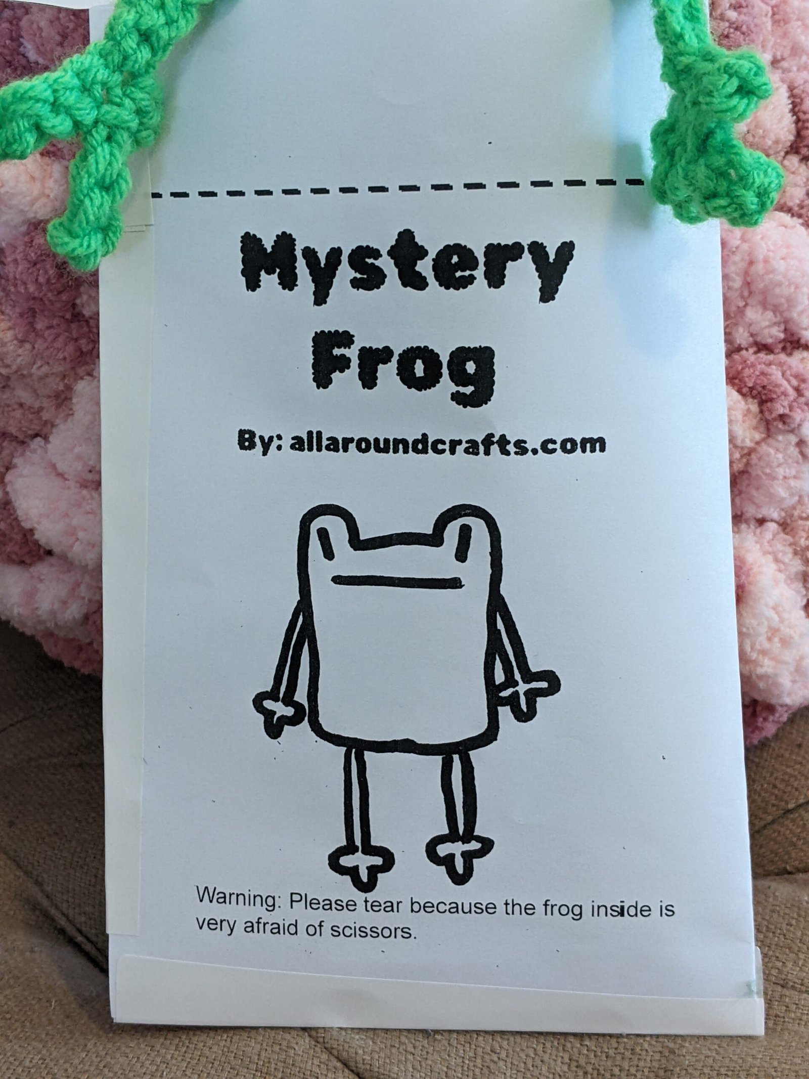 PXL_20260128_171126449.MP