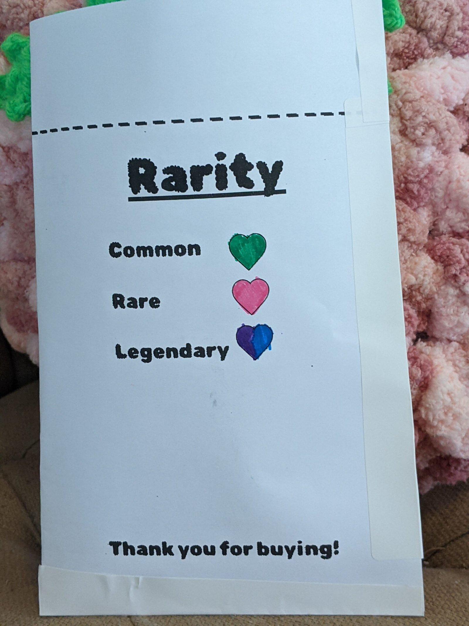 PXL_20260128_171143803.MP